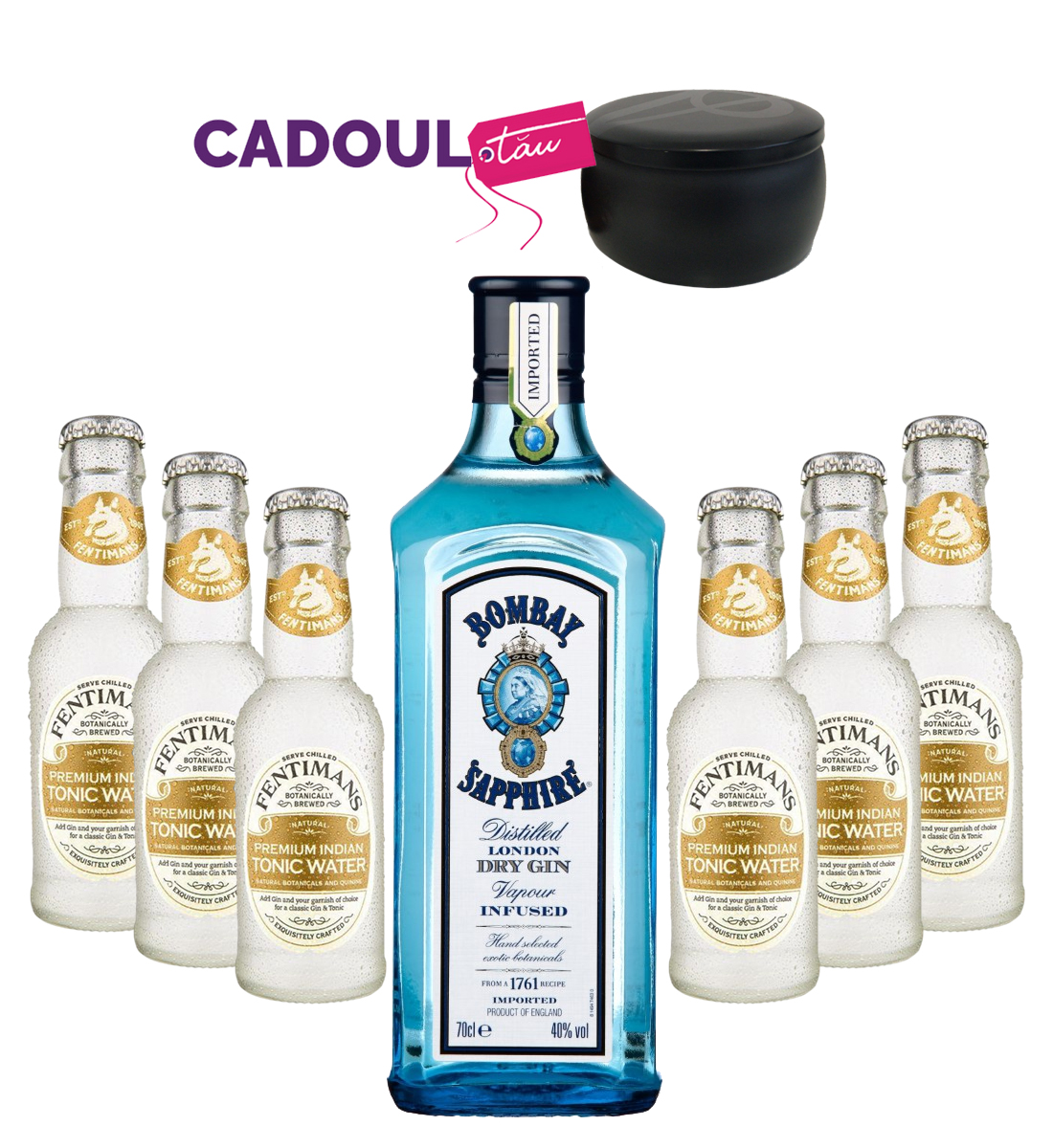 Party Box GIN TONIC MIX